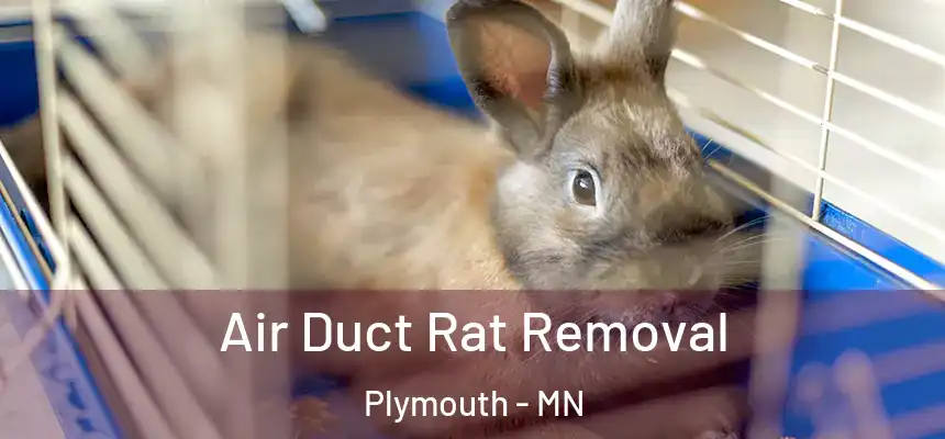  Air Duct Rat Removal Plymouth - MN