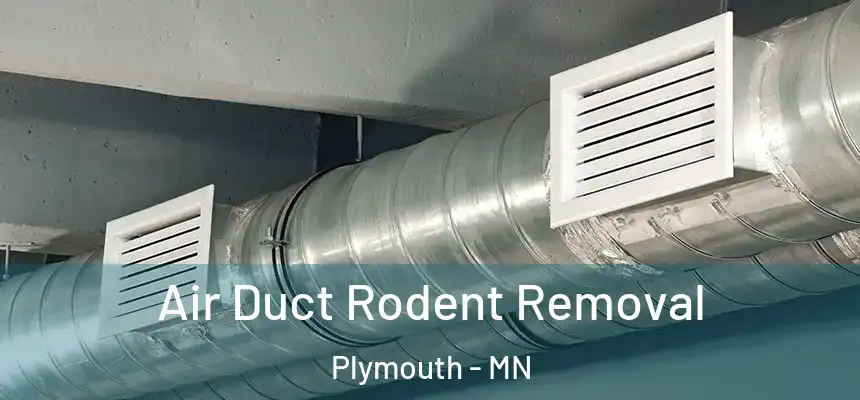  Air Duct Rodent Removal Plymouth - MN