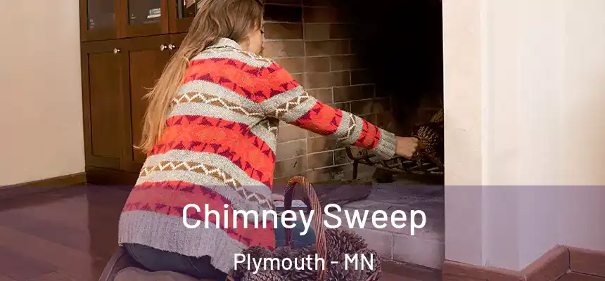 Chimney Sweep Plymouth - MN