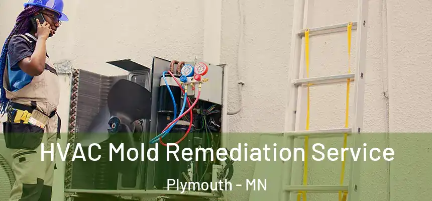 HVAC Mold Remediation Service Plymouth - MN