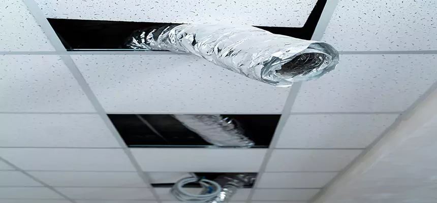 Affordable HVAC Sanitizing After Pest Removal in Plymouth