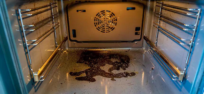 Our Dryer Vent Mold Cleaning Services in Plymouth, MN