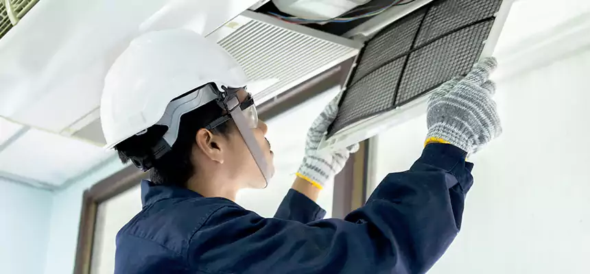 Our Mold & Mildew Removal from Air Ducts Services in Plymouth, MN