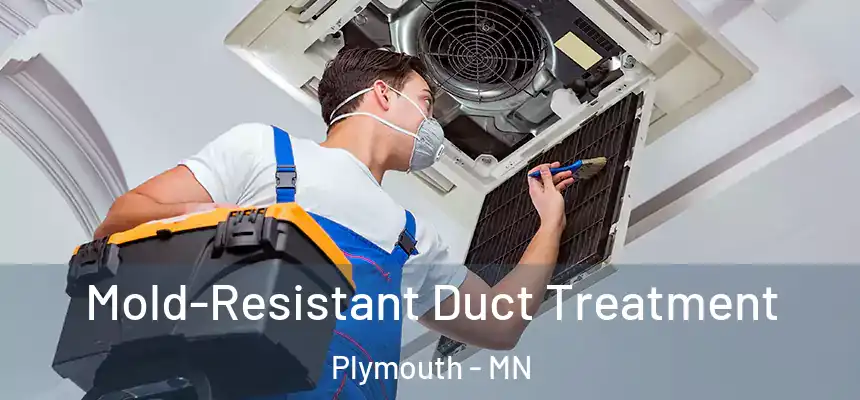  Mold-Resistant Duct Treatment Plymouth - MN