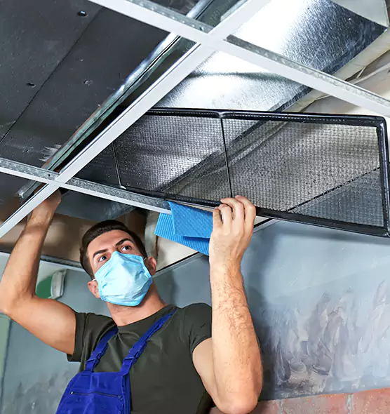 Professional Air Duct Pollen Cleaning in Plymouth, MN