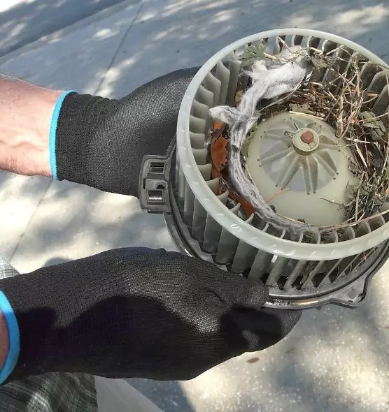 About Air Duct Rat Removal in Plymouth, MN