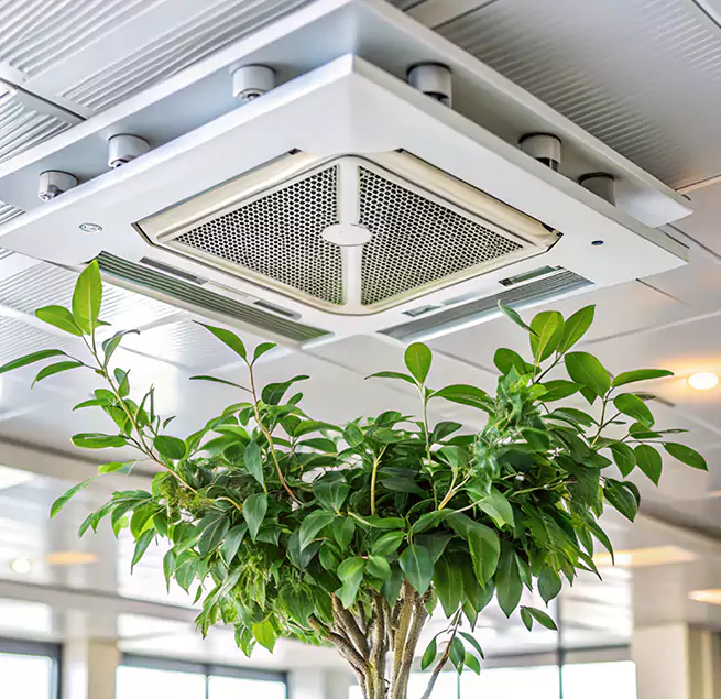 Why Homeowners & Businesses Trust Us in Plymouth, MN?